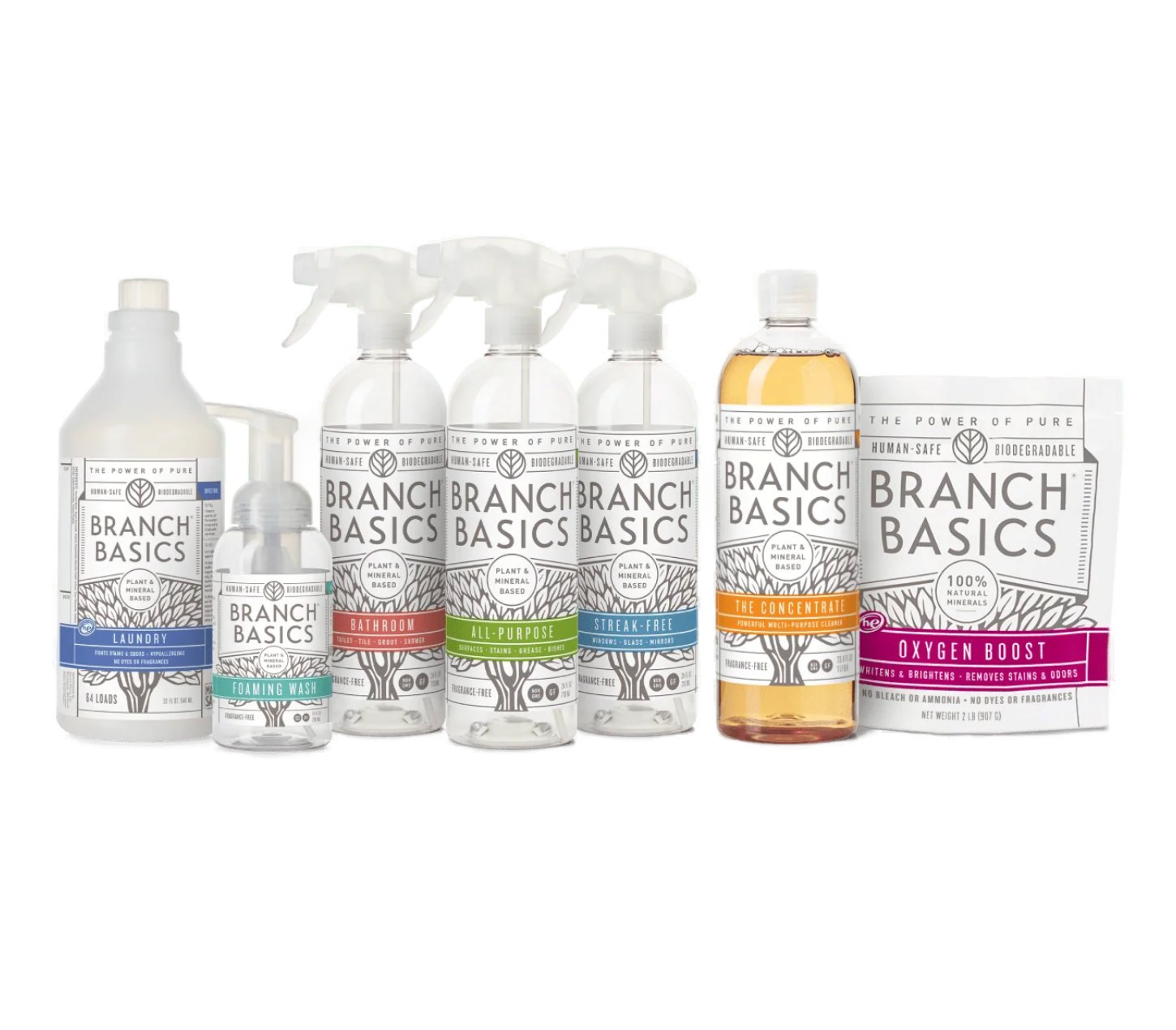Branch Basics